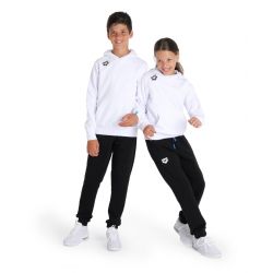 Bluza Arena JUNIOR Team Hooded Sweat Panel