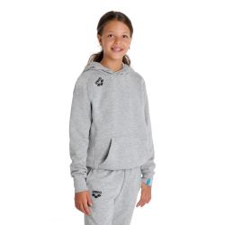 Bluza Arena JUNIOR Team Hooded Sweat Panel