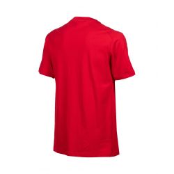 Koszulka Arena Team T-Shirt Panel