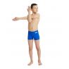 Szorty kąpielowe Arena  TEAM SWIM SHORT SOLID