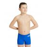 Szorty kąpielowe Arena  TEAM SWIM SHORT SOLID