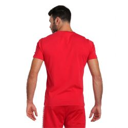 Koszulka Arena M T-SHIRT TEAM ICONS