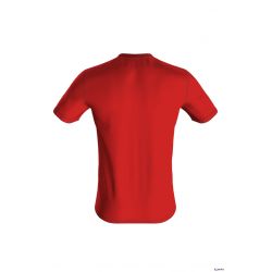 Koszulka Arena M T-SHIRT TEAM ICONS