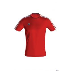 Koszulka Arena M T-SHIRT TEAM ICONS
