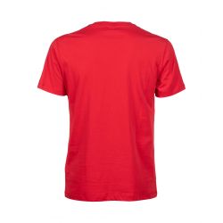 Koszulka Arena M T-SHIRT TEAM ICONS