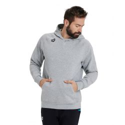Bluza Arena TEAM HOODED SWEAT PANEL