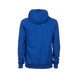 Bluza Arena TEAM HOODED SWEAT PANEL