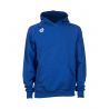 Bluza Arena TEAM HOODED SWEAT PANEL