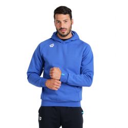 Bluza Arena TEAM HOODED SWEAT PANEL