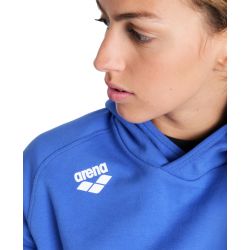 Bluza Arena TEAM HOODED SWEAT PANEL