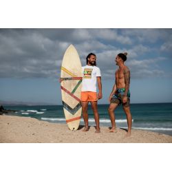 Koszulka Arena MEN'S T-SHIRT SOLID COTTON