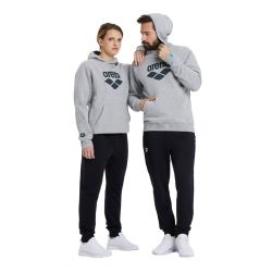Bluza Arena Hooded Sweat Logo
