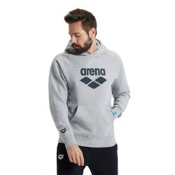Bluza Arena Hooded Sweat Logo
