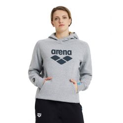 Bluza Arena Hooded Sweat Logo
