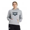 Bluza Arena Hooded Sweat Logo