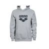 Bluza Arena Hooded Sweat Logo