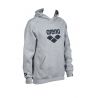 Bluza Arena Hooded Sweat Logo