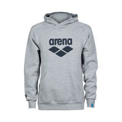 Bluza Arena Hooded Sweat Logo