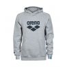 Bluza Arena Hooded Sweat Logo