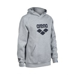 Bluza Arena Hooded Sweat Logo