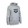 Bluza Arena Hooded Sweat Logo