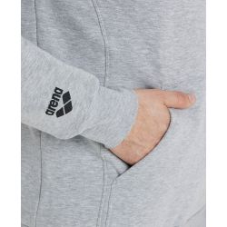 Bluza Arena Hooded Sweat Logo