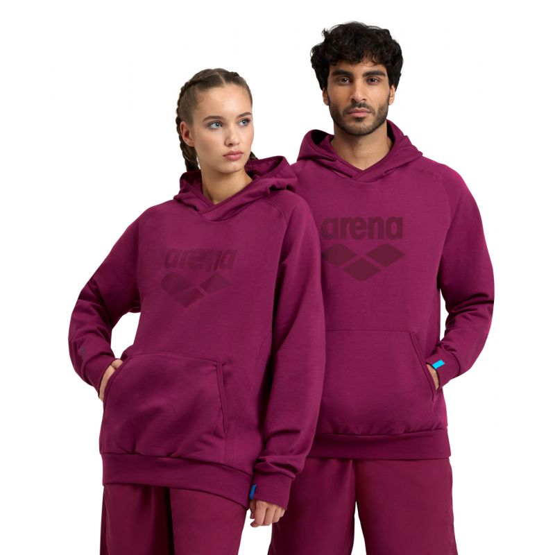 Bluza Arena Hooded Sweat Logo