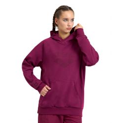 Bluza Arena Hooded Sweat Logo