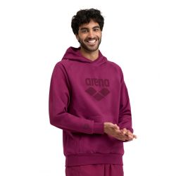 Bluza Arena Hooded Sweat Logo