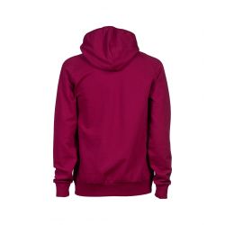 Bluza Arena Hooded Sweat Logo