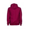 Bluza Arena Hooded Sweat Logo