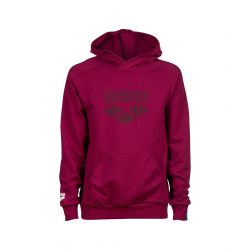 Bluza Arena Hooded Sweat Logo