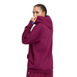 Bluza Arena Hooded Sweat Logo