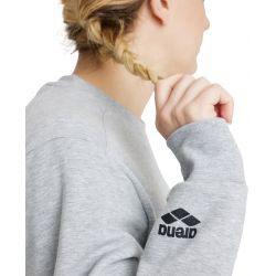 Bluza Arena Crew Sweat Logo