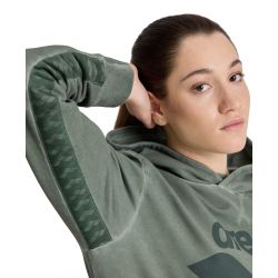 Bluza Arena ICONS HOODIE SWEAT