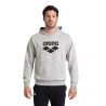 Bluza Arena ARENA HOODED SWEAT GRAPHIC