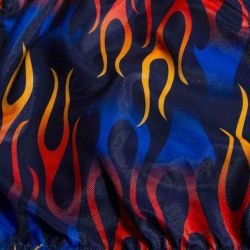 Kąpielówki Speedo ALOV DIGI BF 8CM AM