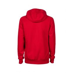 Bluza Arena TEAM HOODED SWEAT PANEL