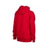 Bluza Arena TEAM HOODED SWEAT PANEL