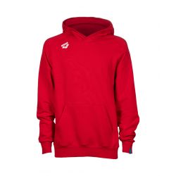 Bluza Arena TEAM HOODED SWEAT PANEL