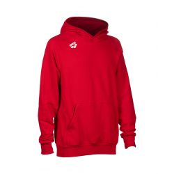Bluza Arena TEAM HOODED SWEAT PANEL