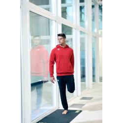 Bluza Arena TEAM HOODED SWEAT PANEL