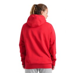 Bluza Arena TEAM HOODED SWEAT PANEL