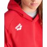 Bluza Arena TEAM HOODED SWEAT PANEL