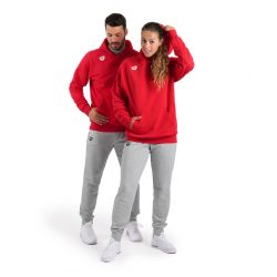 Bluza Arena TEAM HOODED SWEAT PANEL