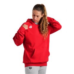 Bluza Arena TEAM HOODED SWEAT PANEL