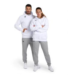 Bluza Arena TEAM HOODED SWEAT PANEL
