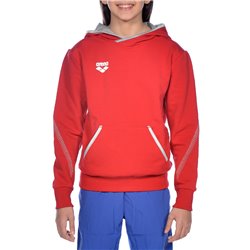 Bluza Arena JUNIOR TL HOODIE
