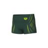 Szorty kąpielowe Arena Poseidonia Swim Short