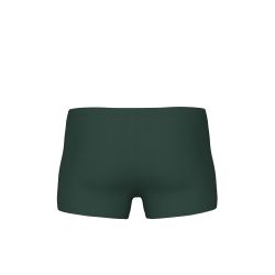 Szorty kąpielowe Arena Poseidonia Swim Short